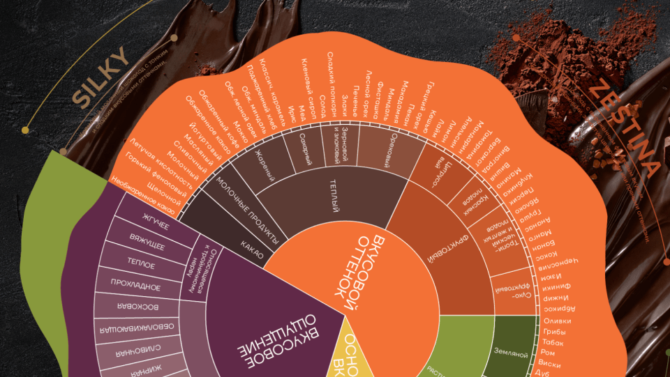 chocolate taste wheel - portfolio strategy