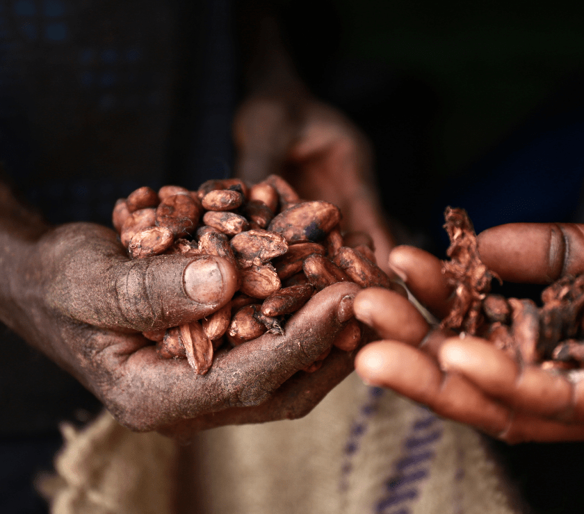 How we select beans